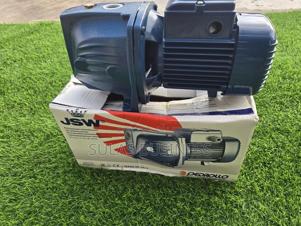 Pedrollo 1.5 Hp Castbody photo 7