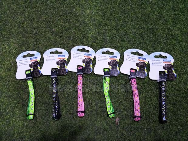 Dog Collars · Photo 2
