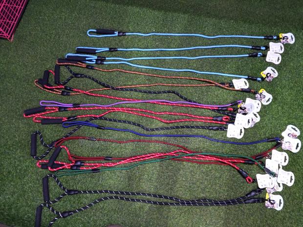 Leashes for Dogs · Photo 2