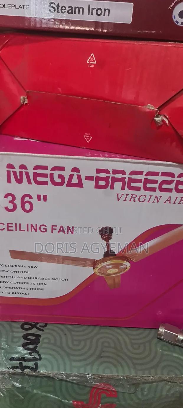 Ceiling Fan