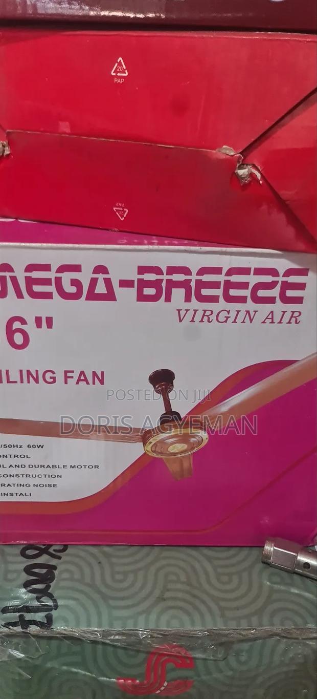 Ceiling Fan photo 2