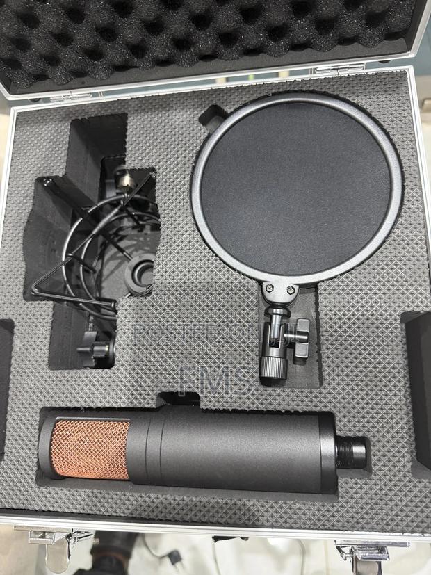 Antelope Audio Edge Duo Al – Dual-Capsule Modeling Microphone photo 2