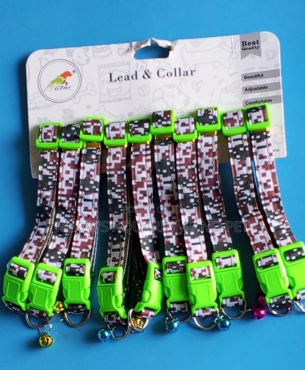 Collar for Dogs · Photo 2