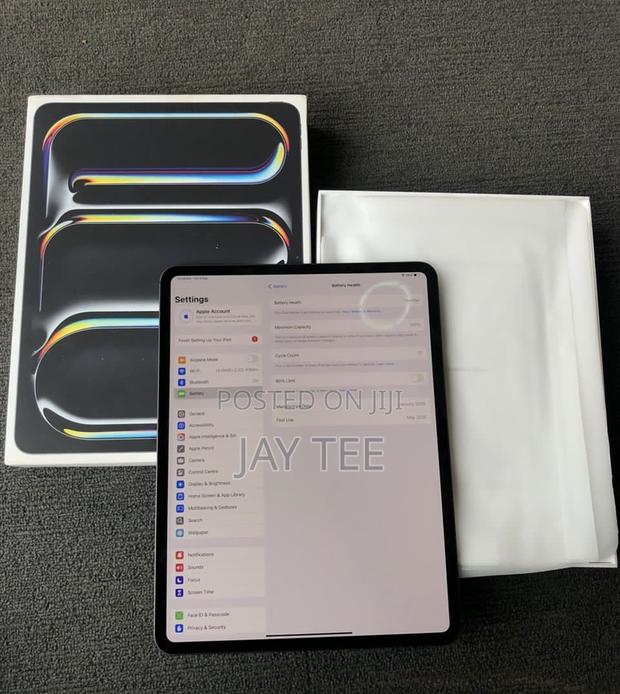 Apple iPad Pro 13 (2024) 256 GB Gray