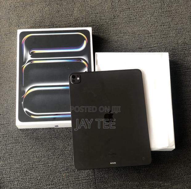 Apple iPad Pro 13 (2024) 256 GB Gray