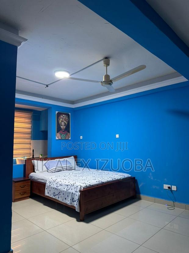 Furnished 1bdrm Apartment in West Legon for rent photo 4