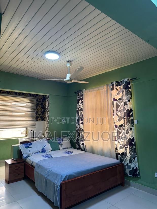 Furnished 1bdrm Apartment in West Legon for rent photo 2