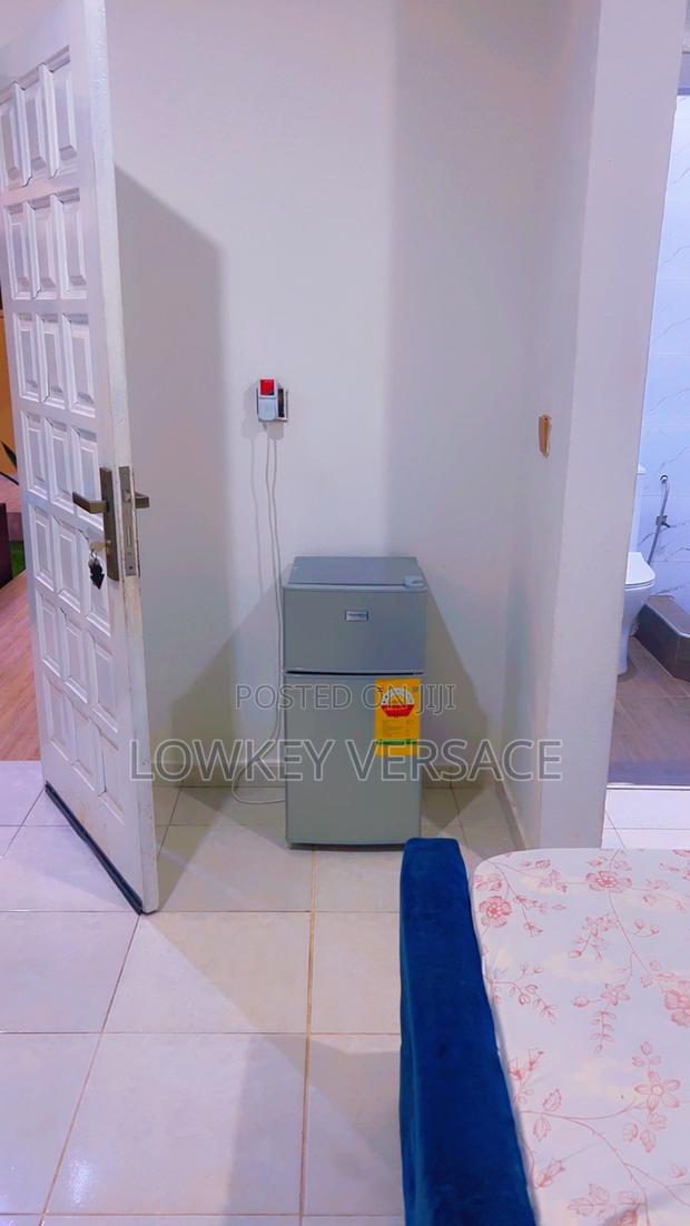 Spacious Studio+ Generator+Dstv+Fridge+Starlink Wifi+ Self Catering photo 10