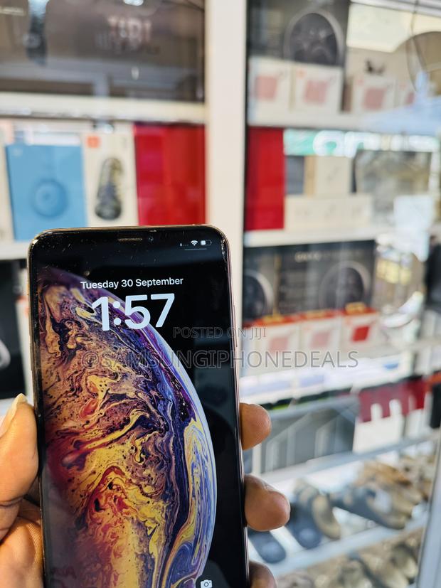 Apple iPhone XS Max 256 GB Gold photo 2