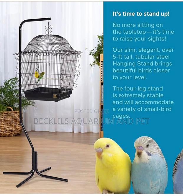 Quality Metal Bird Hanger Stand · Photo 4