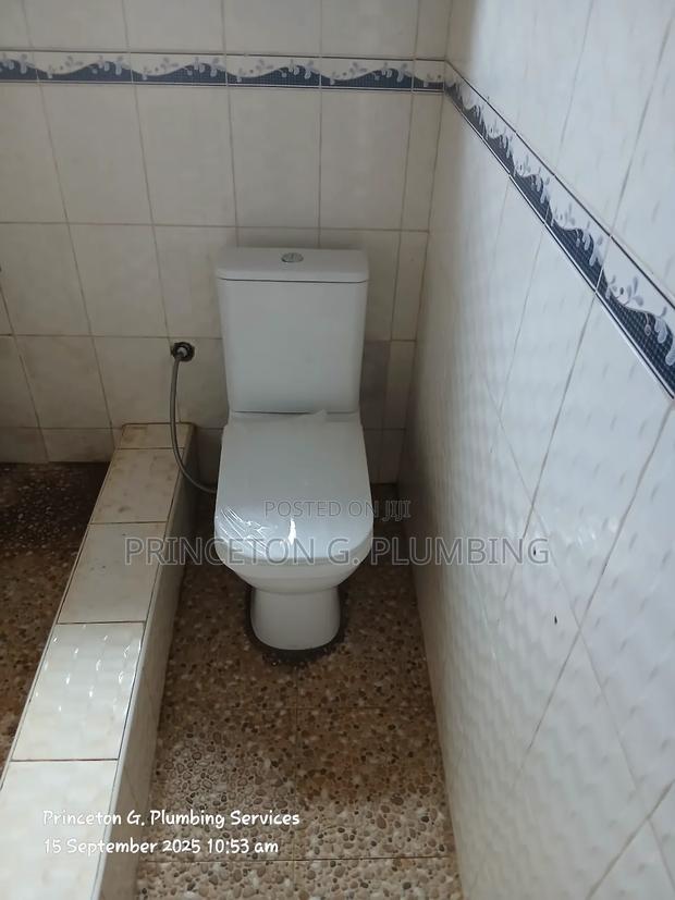 Showers,W.C, and Washroom Accessories Fixing, Repairs, Eplacement. photo 3