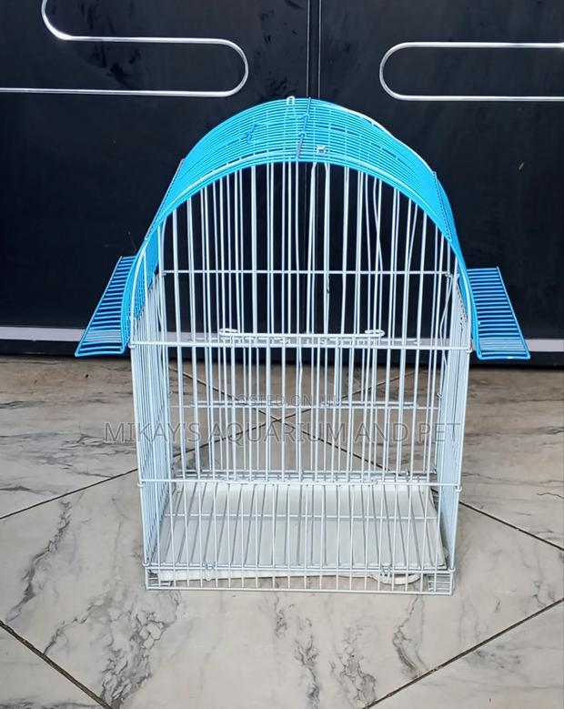 Cute Bird Cage · Photo 2