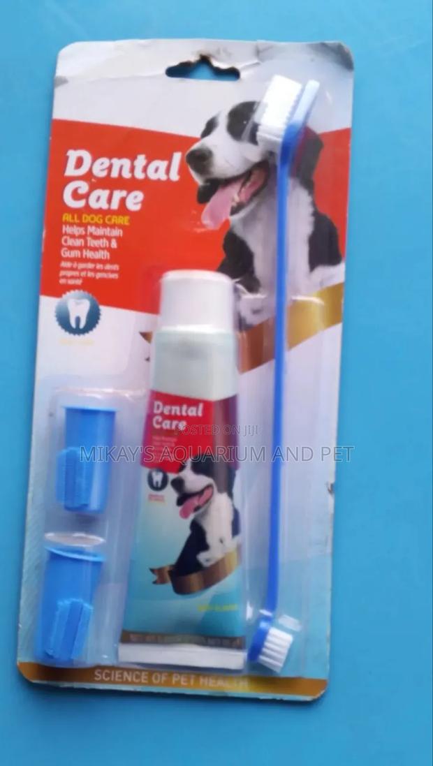 Dental Care for Dogs · Photo 2