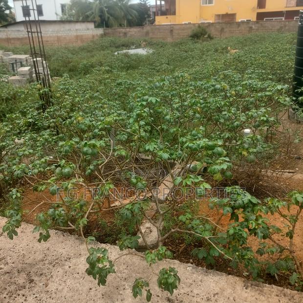 2 and Helf Plots for Sale at Spintex · Photo 2