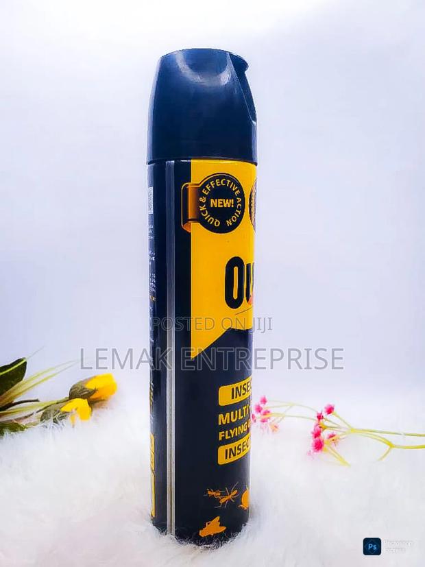 Out Insecticide Multi - Purpose Flying Crawling Insect Killer 300ml photo 2