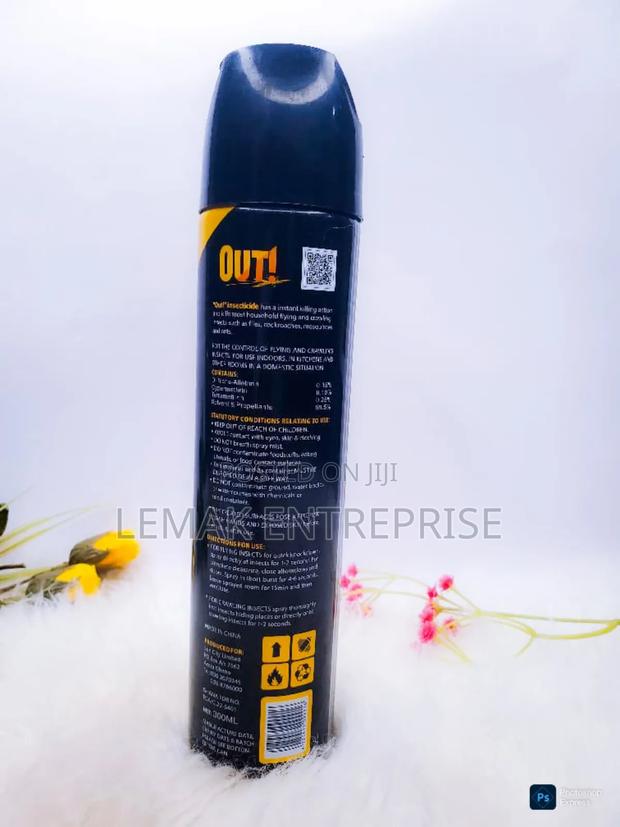 Out Insecticide Multi - Purpose Flying Crawling Insect Killer 300ml photo 3
