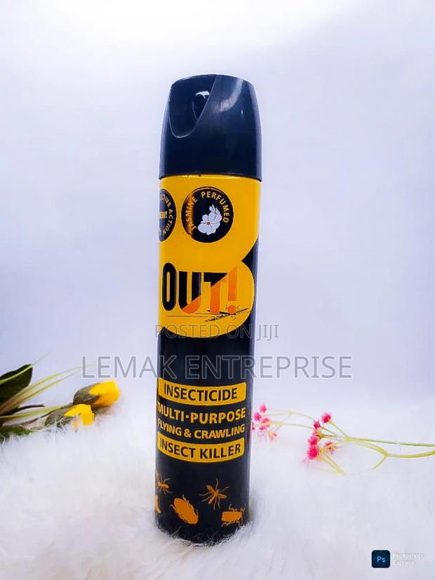 Out Insecticide Multi - Purpose Flying Crawling Insect Killer 300ml