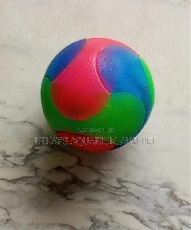 Dog Play Toys · Photo 3