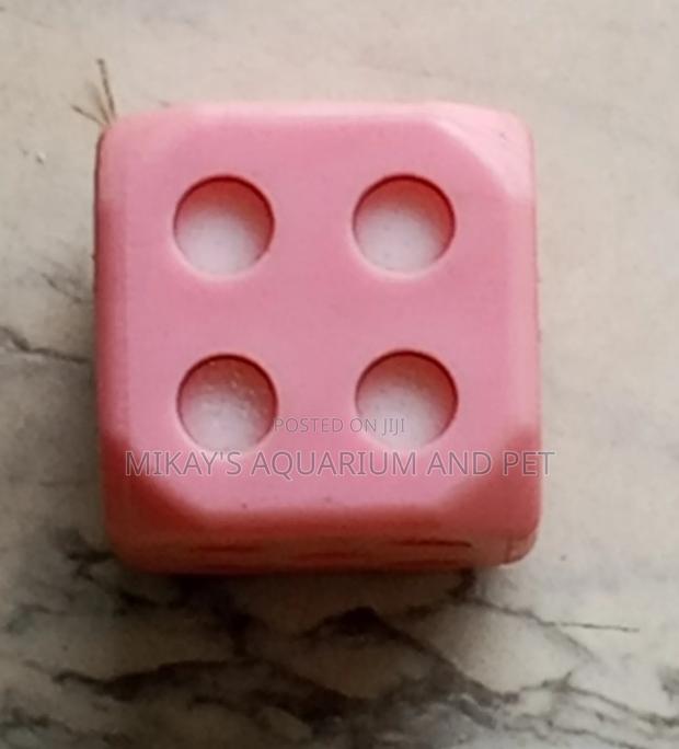 Dog Play Toys · Photo 4