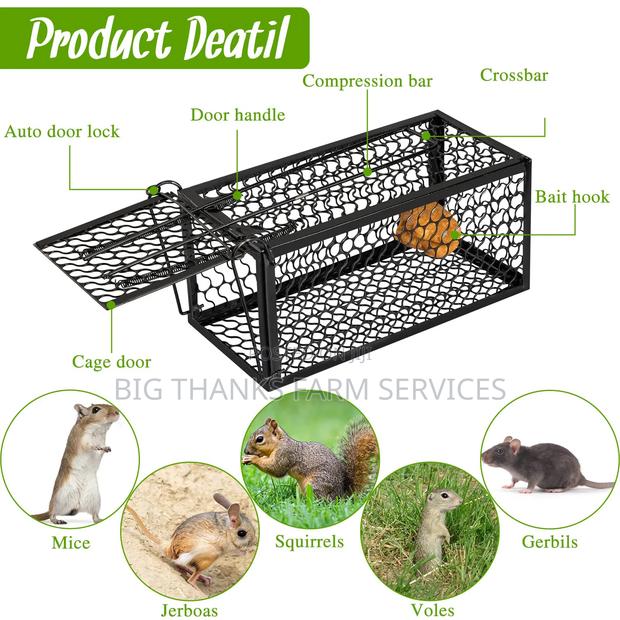 Rodents Traps, Mouse And More · Photo 2