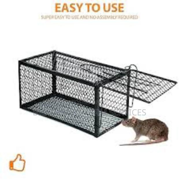 Mouse, Rats Traps · Photo 2