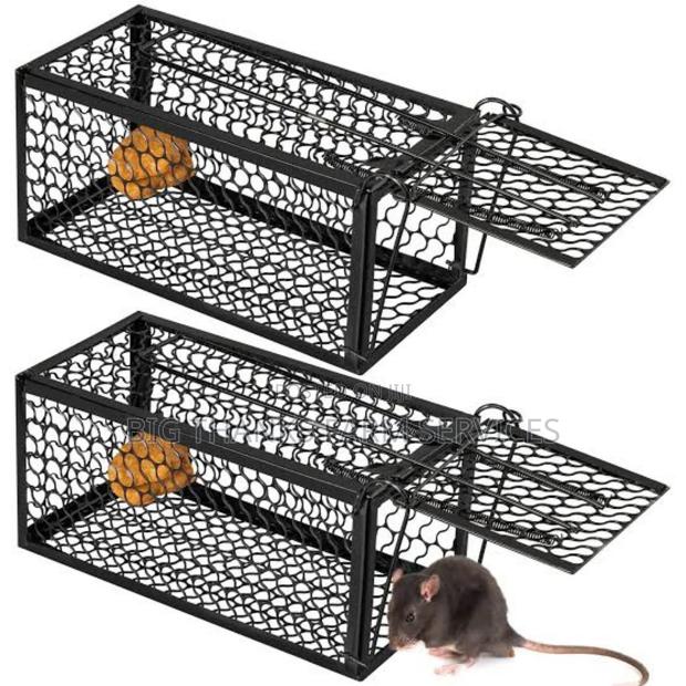 Rodents,Mouse, Traps Of Different Sizes · Photo 2