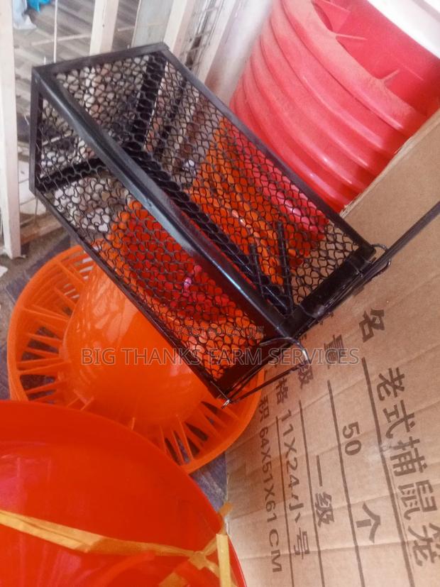Cage Type Rats And Mouse Traps, · Photo 4