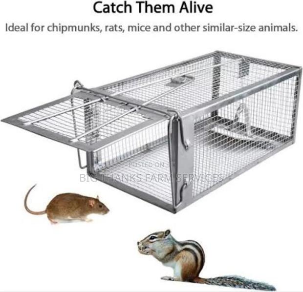 Rosent(Mouse,Lizard,Rats Ets) Traps · Photo 2