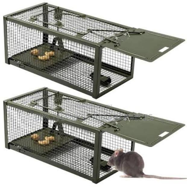 Rodents(Mouse,Rats,Lizard Etc) Traps · Photo 3