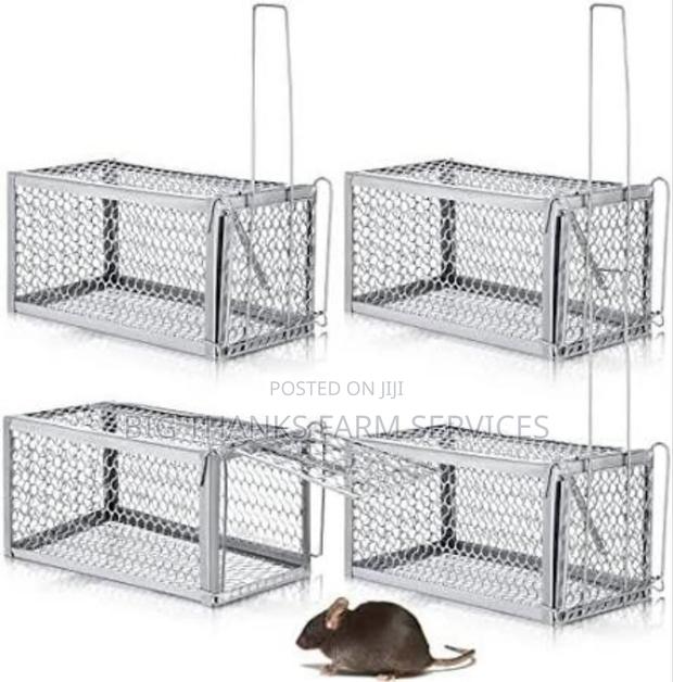 Rodents(Mouse,Rats,Lizard Etc) Traps · Photo 4