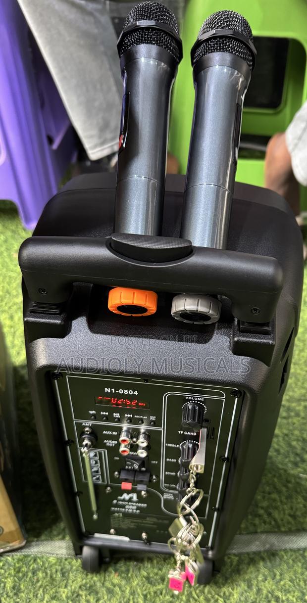 No1 8inches Rechargeable Speaker With Two Microphones · Photo 4