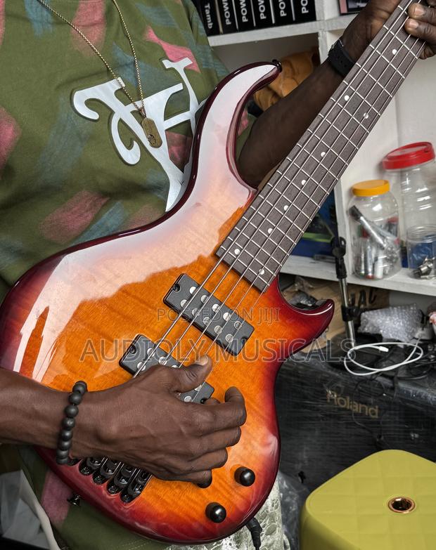 Free Guitar Bag With Gibson Active Bass Guitar · Photo 4