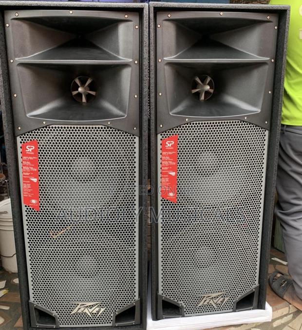 Spider/Peavey Full Range Speaker (Pair) · Photo 2