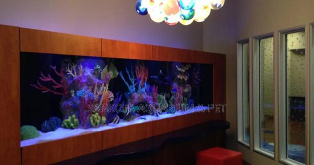 We Customize Best Wall Aquarium · Photo 3