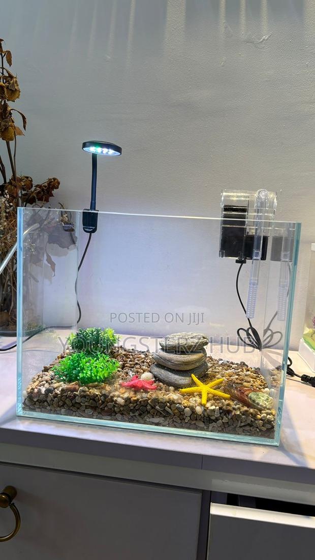 Aquarium for Fishes