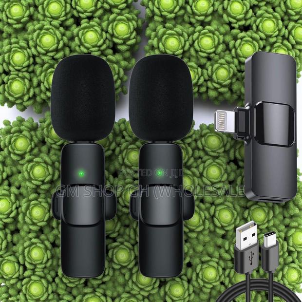 Wireless Microphone 2 in 1 Microphone (44000) · Photo 3