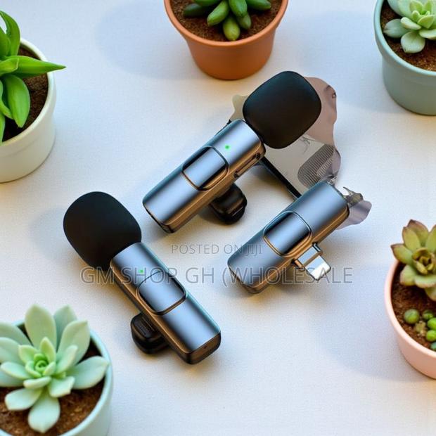 Wireless Microphone 2 in 1 Microphone (44000) · Photo 4