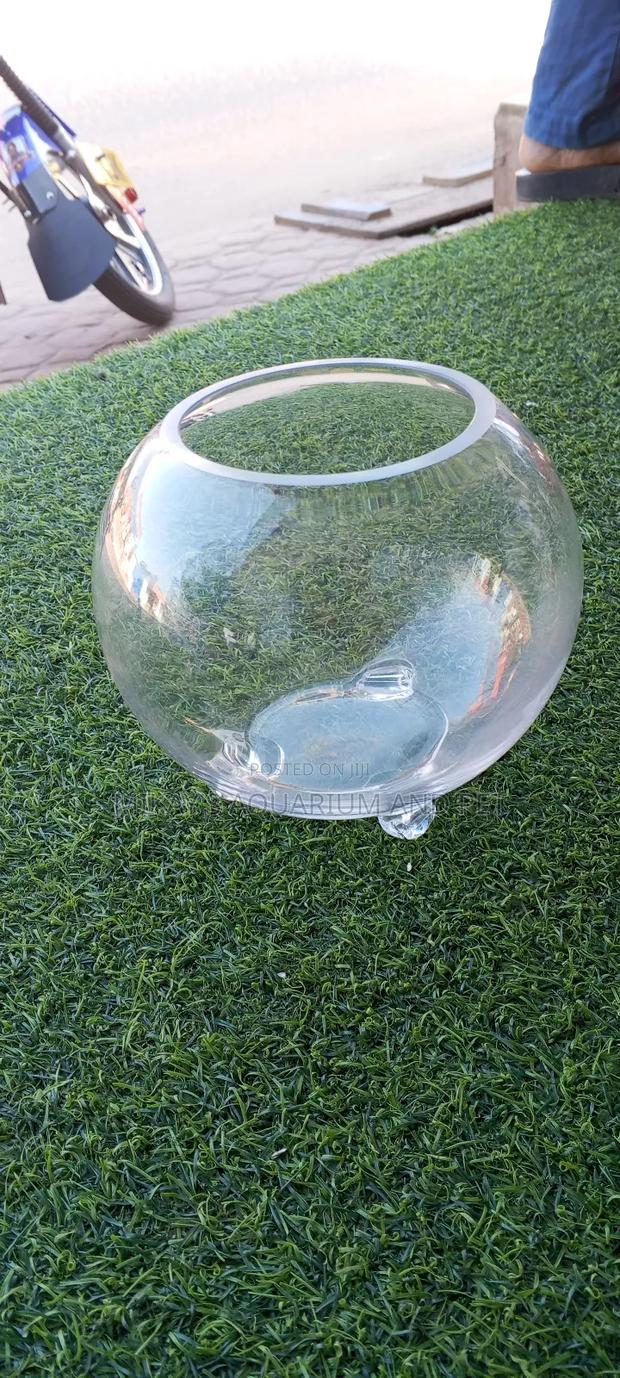 Aquarium Glass Bowl · Photo 2