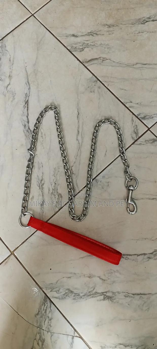 Metal Chain for Dogs · Photo 2