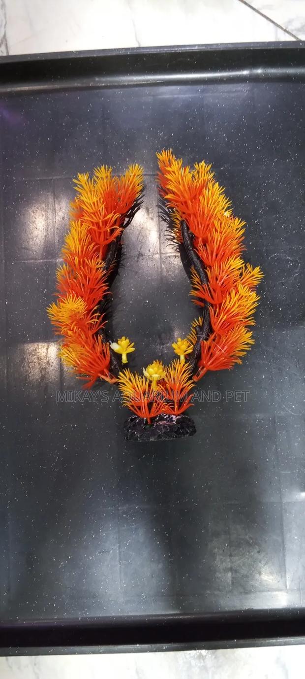 Plant for Aquarium Decor · Photo 4