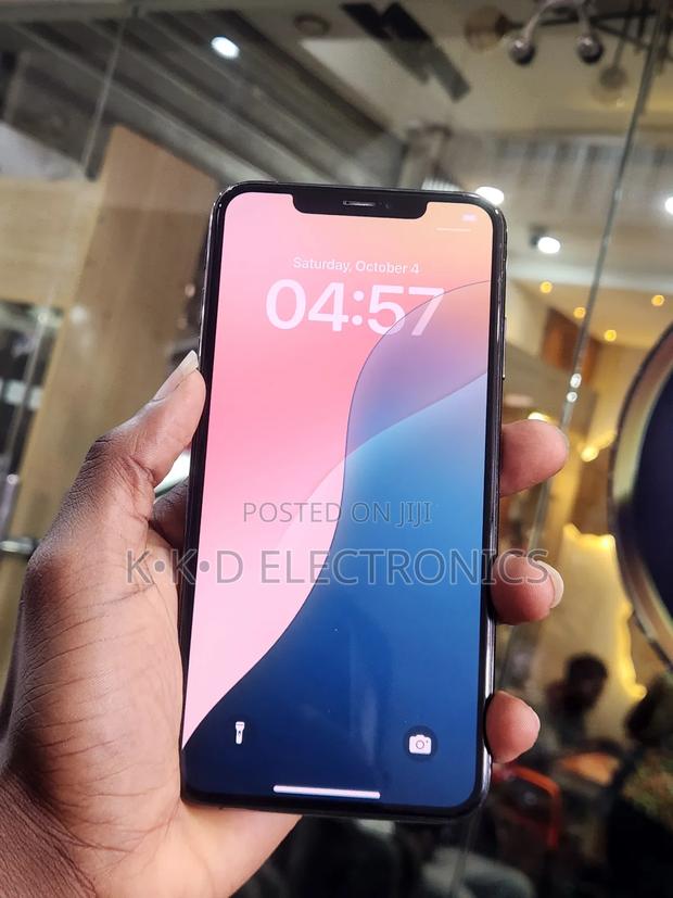 Apple iPhone XS Max 64 GB Black photo 4