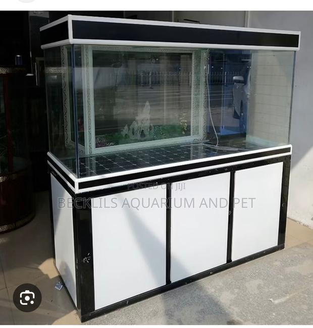 Huge Imported Aquarium · Photo 4