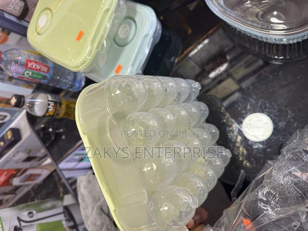 Plastic Egg Storage/Egg Crate photo 4