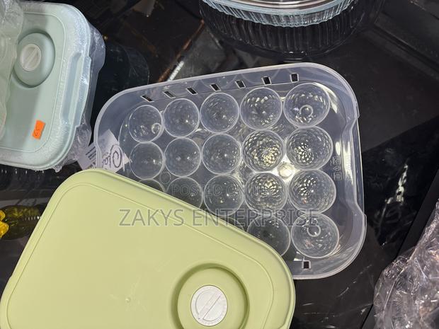 Plastic Egg Storage/Egg Crate