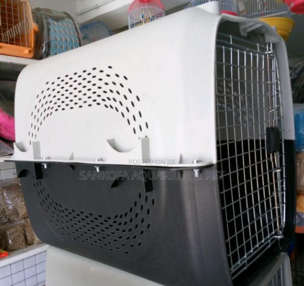 Plastic Traveling Dog Cage · Photo 2