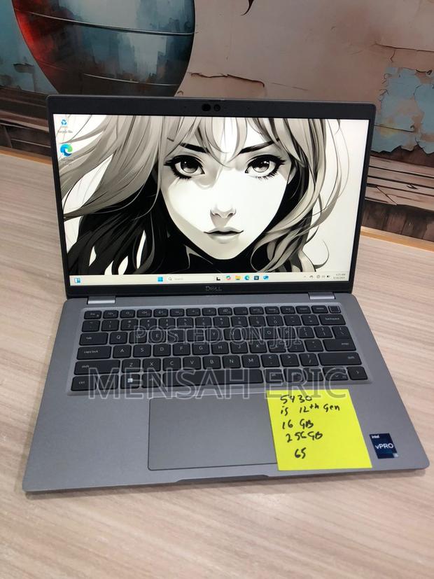 Laptop Dell Latitude 5410 8GB Intel Core I5 SSD 256GB photo 4