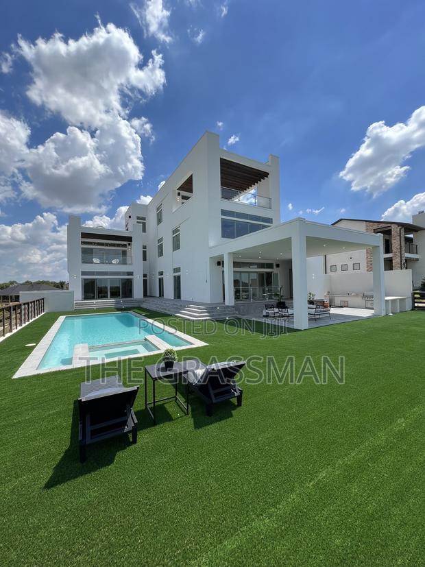 Carpet Grass photo 2