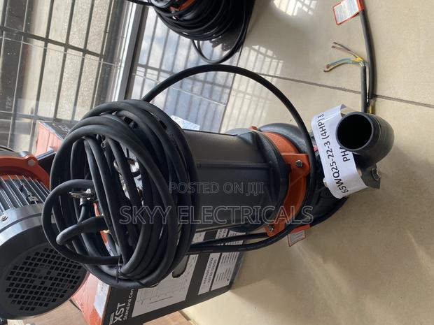 Leo 65wq25-22 - 3kw (4hp)3 Phase Submersible Sewage Pumps · Photo 2
