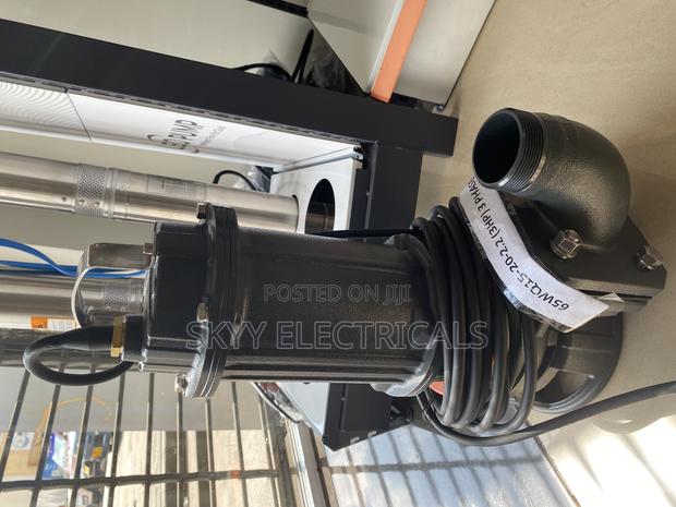 Leo 65wq15-20-2.2 (3hp)3phase Submersible Sewage Pump · Photo 2