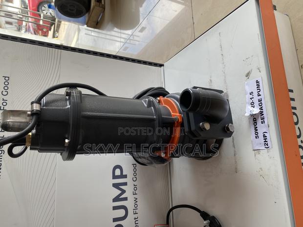Leo 50wqd10-20-1.5 (2hp)Submersible Pump